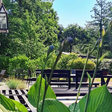 אוהל מפואר Glamping Veluwe נונספייט