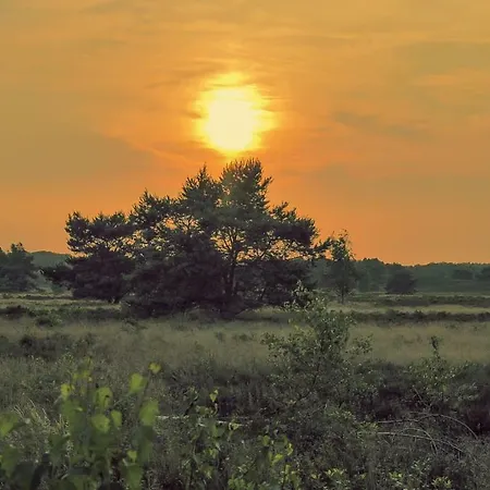 Glamping Veluwe אוהל מפואר נונספייט